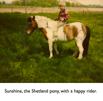 Sunshine, the Shetland pony.  